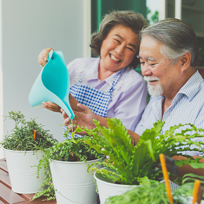 5 Benefits from Houseplants for Seniors