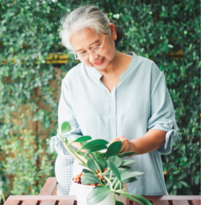 Older woman gardening as a spring activity for seniors